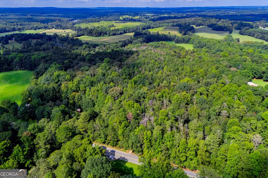 TRACT 3 W Hwy 166, Bowdon, GA 30108 - #2