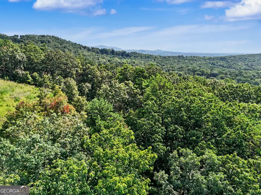 0 Piedmont Mountain Road, Clarkesville, GA 30523 - #2