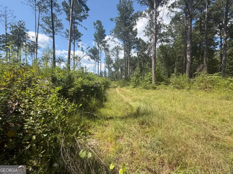 7 Sunhill Grange Road, Davisboro, GA 31018 - #2