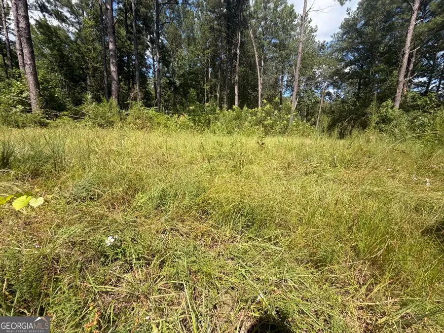 7 Sunhill Grange Road, Davisboro, GA 31018 - #3