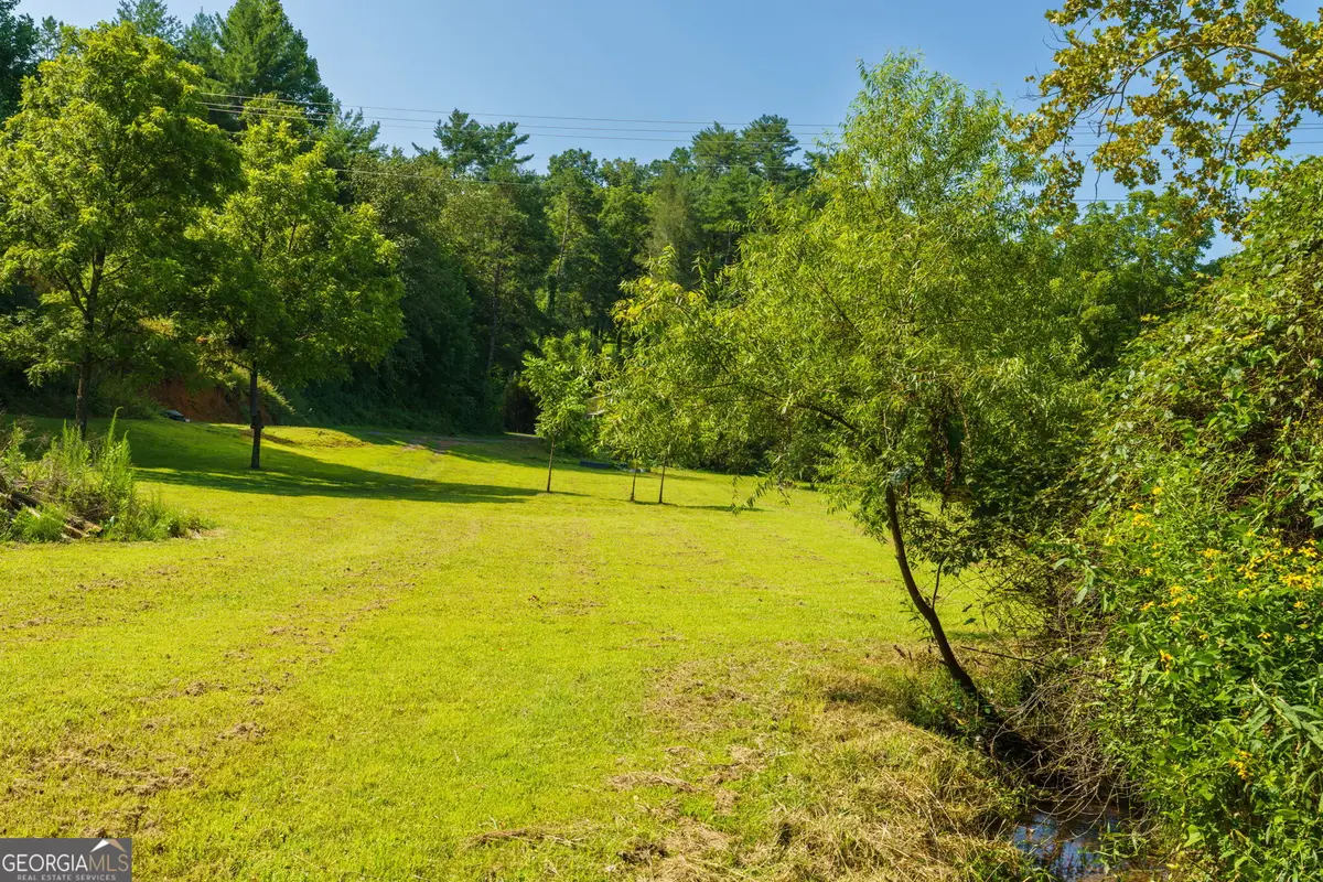 45 Green Cove Road, Brasstown, NC 28902 - #1