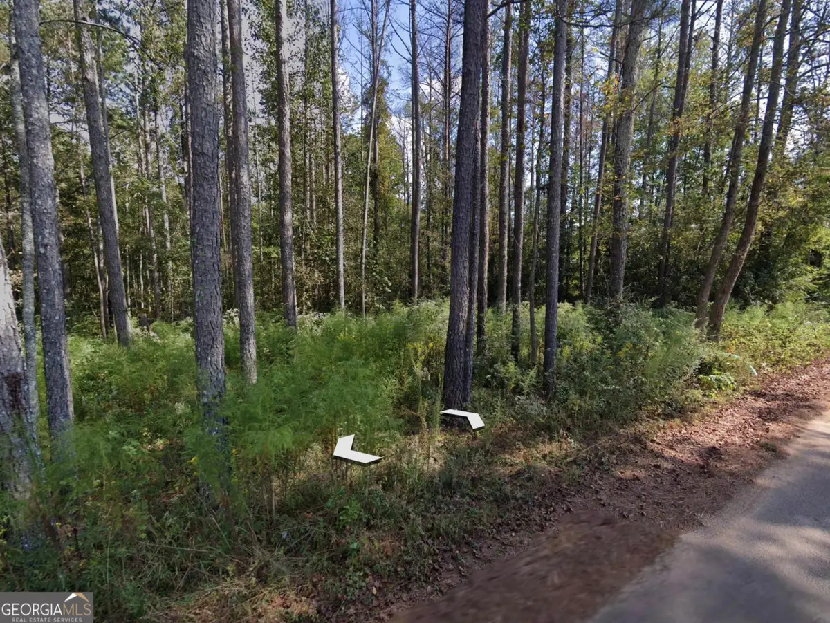 0 Holly Road #TRACT 3, Bowdon, GA 30108 - #1