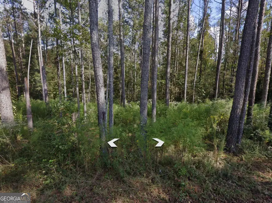0 Holly Road #TRACT 3, Bowdon, GA 30108 - #2
