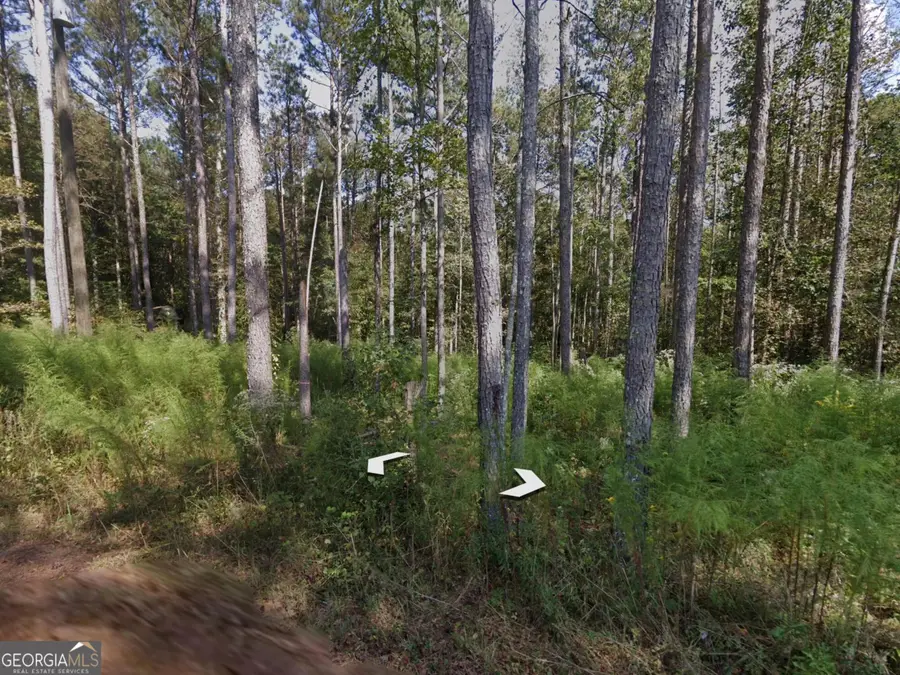 0 Holly Road #TRACT 3, Bowdon, GA 30108 - #3