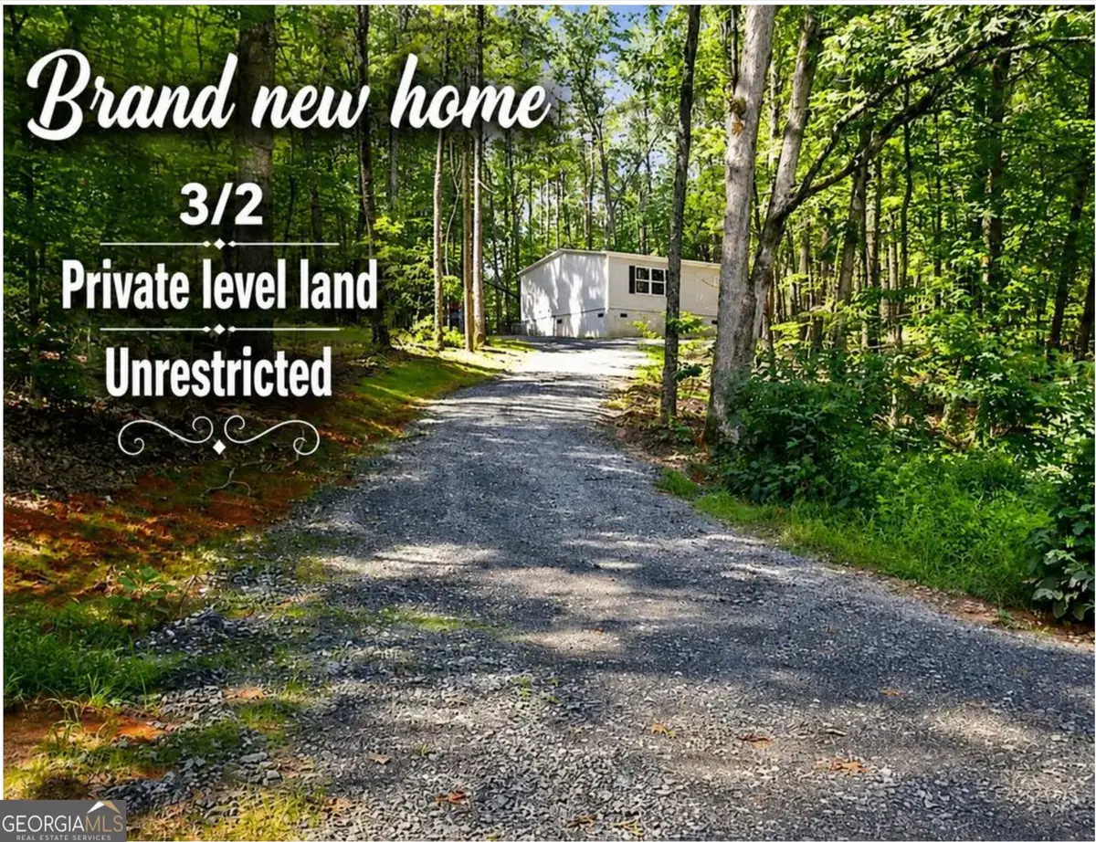 8827 Big Creek Road, Ellijay, GA 30536 - #1