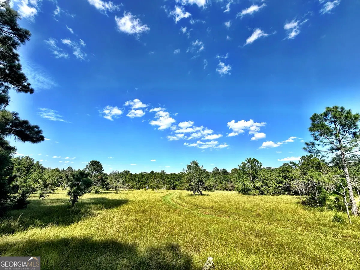 1721 Hwy 49, Byron, GA 31008 - #1