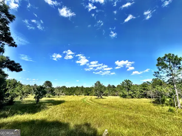 1721 Hwy 49, Byron, GA 31008