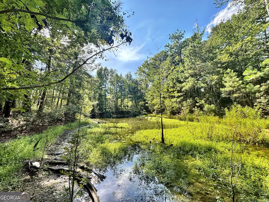 1721 Hwy 49, Byron, GA 31008 - #2