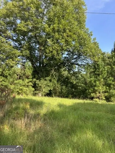 806 Pea Ridge Road, Juliette, GA 31046