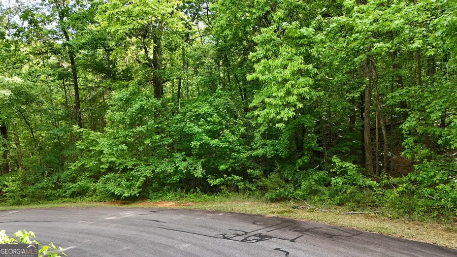 0 Terry Court, Clarkesville, GA 30523 - #3