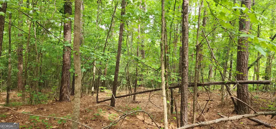 0 Rabbit Farm Road, Loganville, GA 30052 - #2