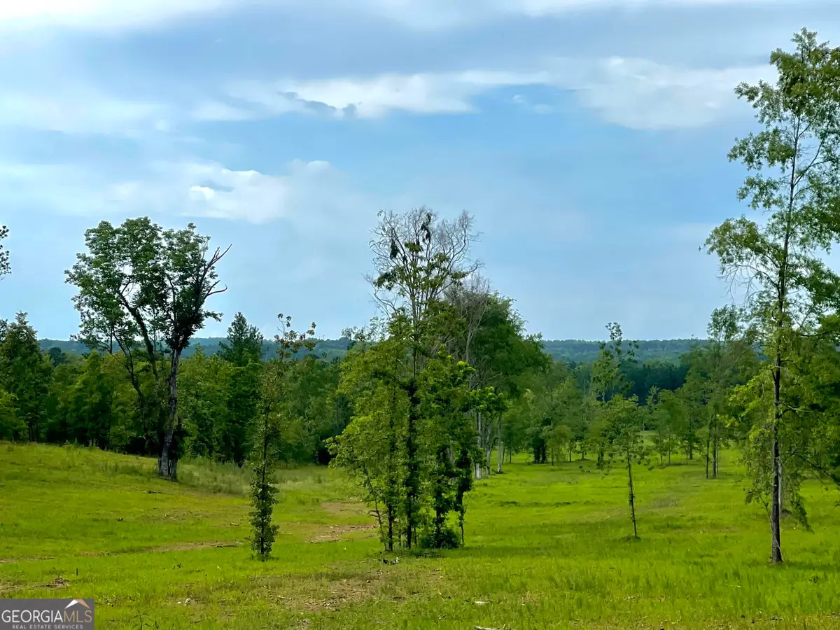 592 Arnold Caldwell Road, Carlton, GA 30627 - #1