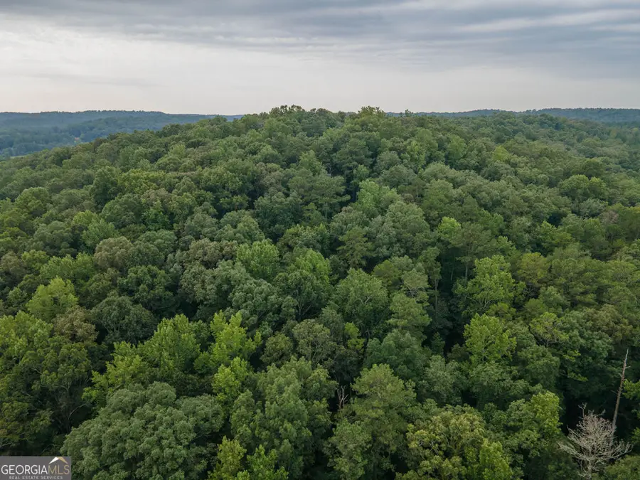 0 Brazell Road, Chattahoochee Hills, GA 30268 - #2