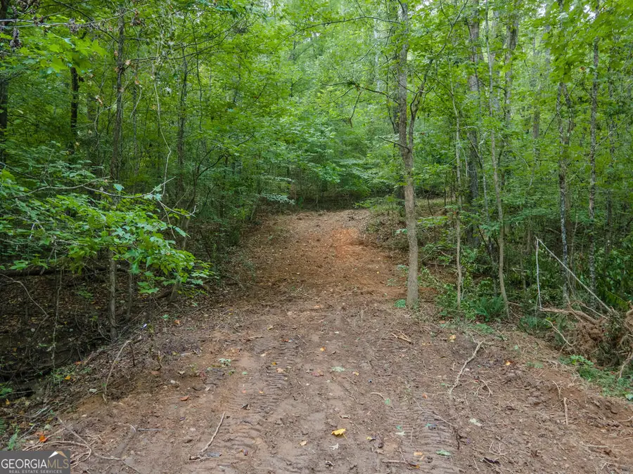 0 Brazell Road, Chattahoochee Hills, GA 30268 - #3