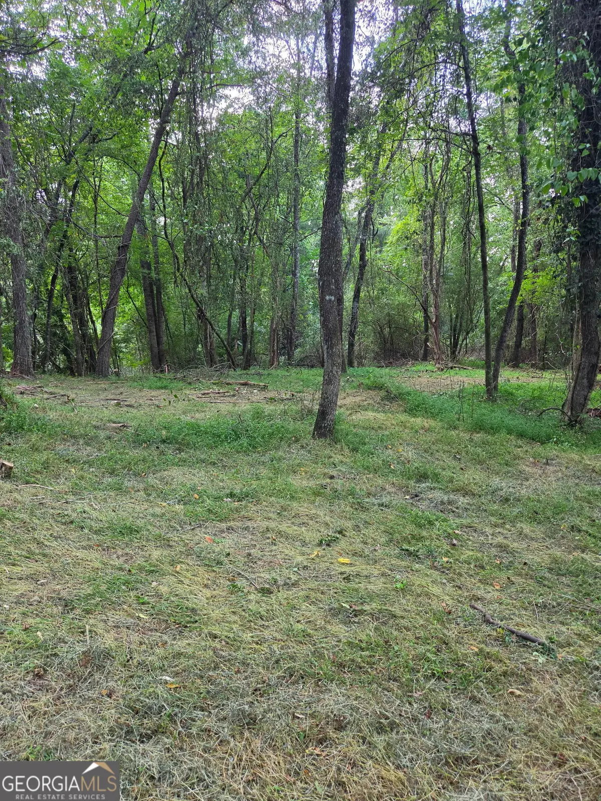 LOT 1 Thurman Street #1, McCaysville, GA 30555 - #1