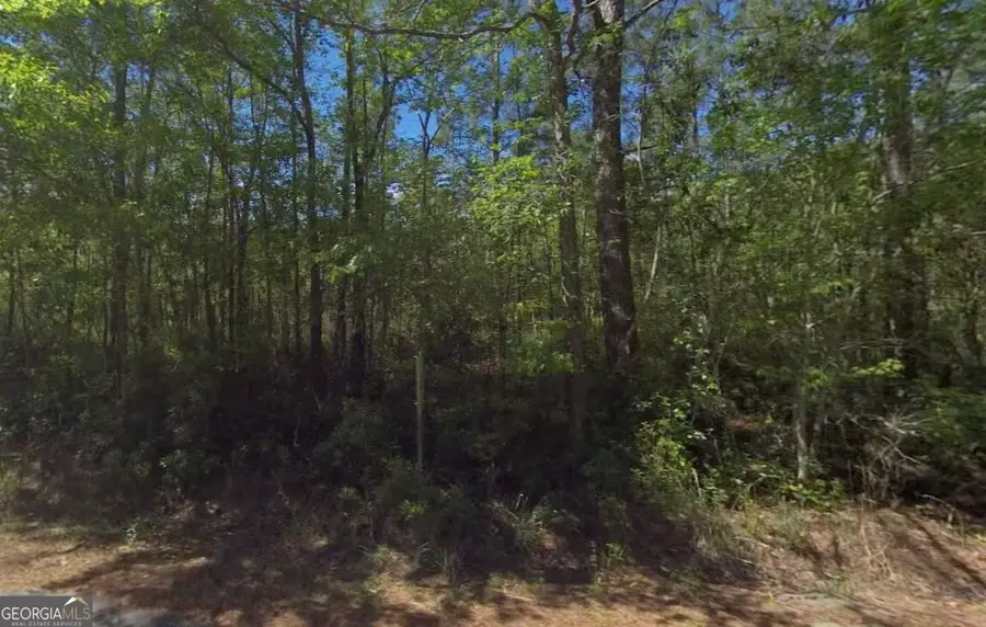 3501 Blues Reach Road, Townsend, GA 31331 - #2