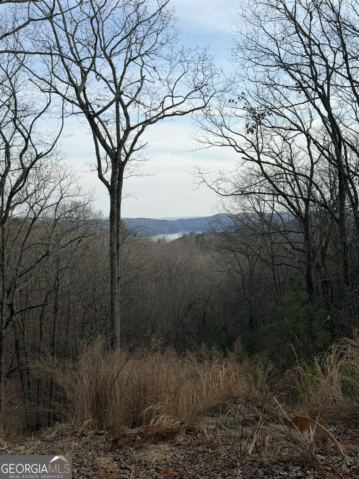 439 Buck Creek Road, Ellijay, GA 30540 - #1