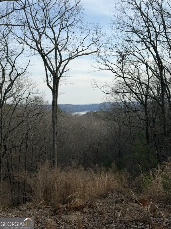 439 Buck Creek Road, Ellijay, GA 30540