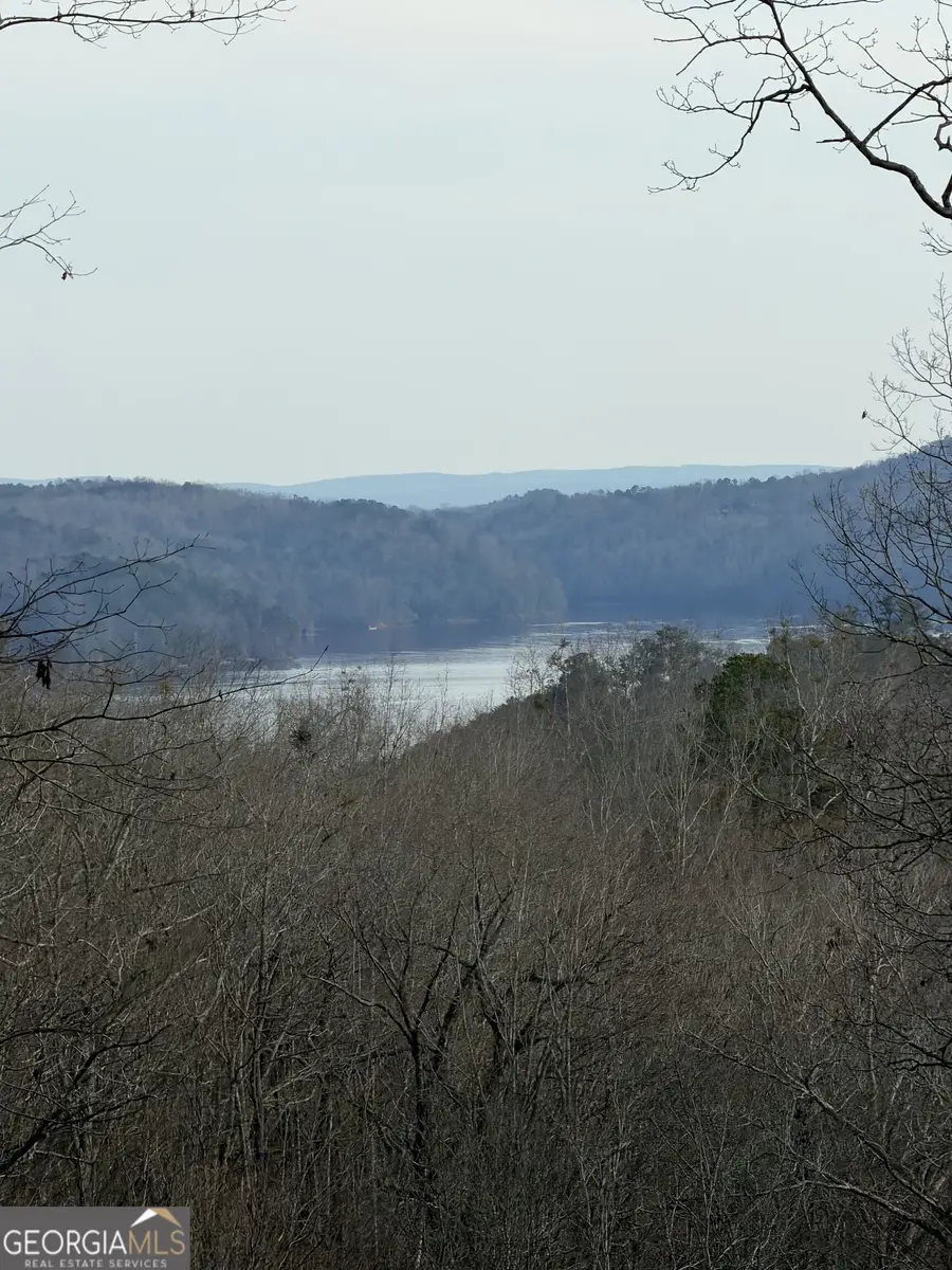 439 Buck Creek Road, Ellijay, GA 30540 - #2