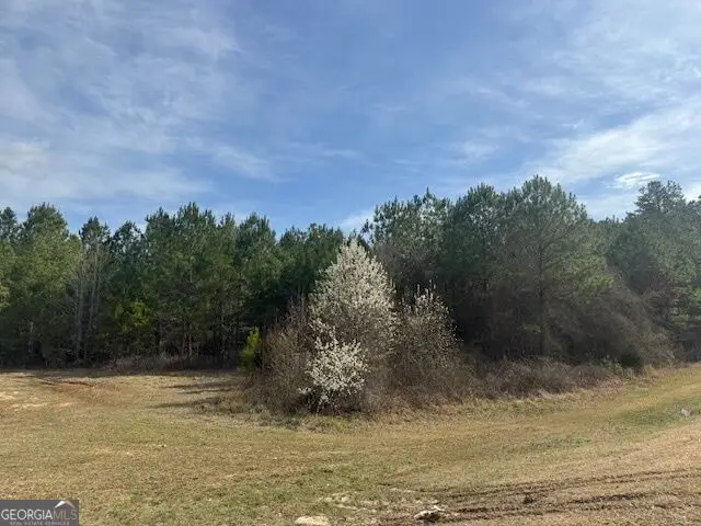 39 Brush Creek Park Road, Franklin, GA 30217 - #2