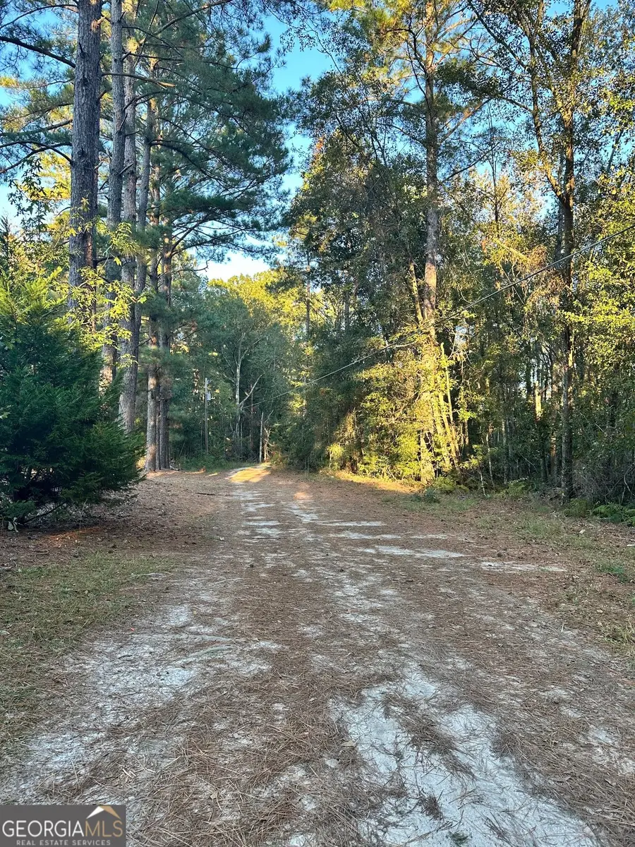 216 Skye View Drive, Statesboro, GA 30458 - #2
