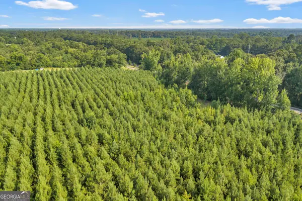 ALLEN LOT Turkey Creek Road, Danville, GA 31017