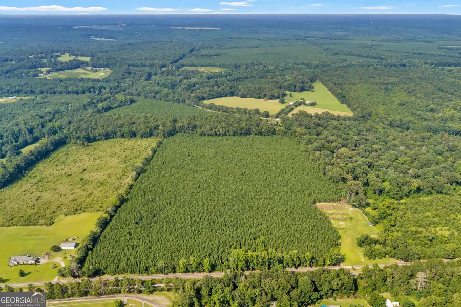 ALLEN LOT Turkey Creek Road, Danville, GA 31017 - #3