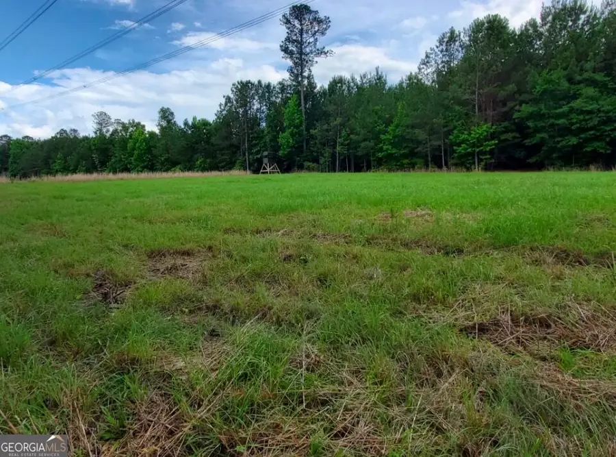 1 Frazier Road, Sparta, GA 31087 - #2
