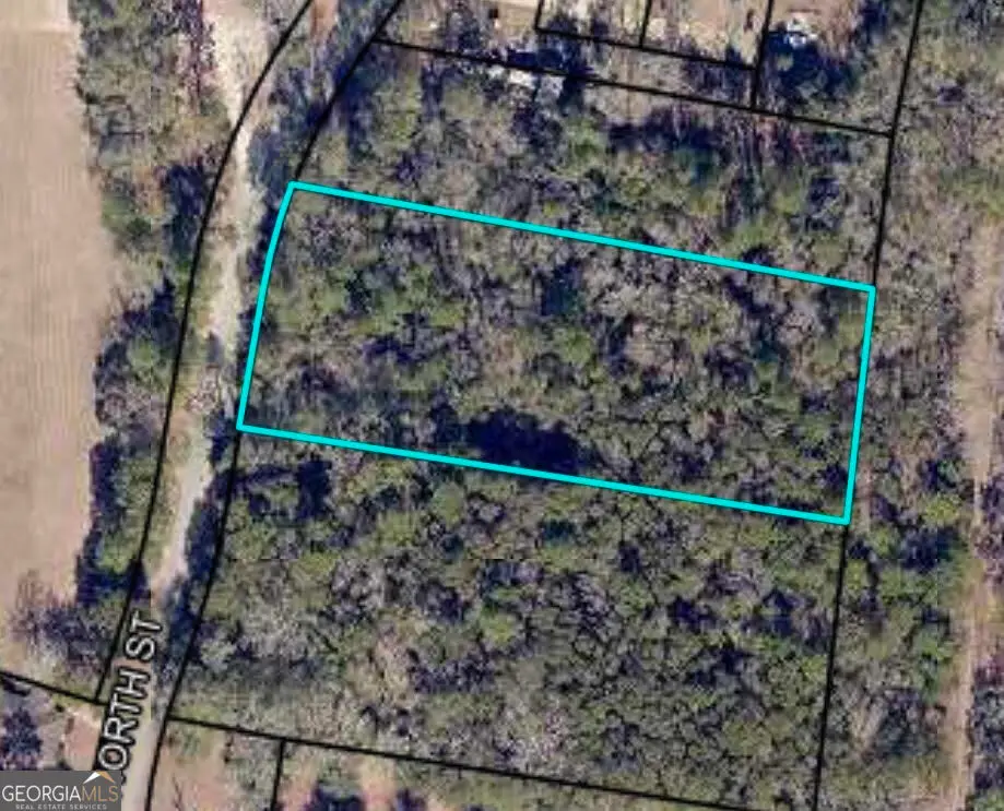 0 North Street, Statesboro, GA 30458 - #1
