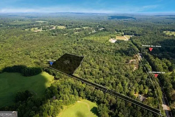 7704 Georgia Highway 100, Buchanan, GA 30113 - #1