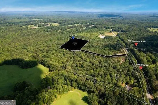 7704 Georgia Highway 100, Buchanan, GA 30113 - #3