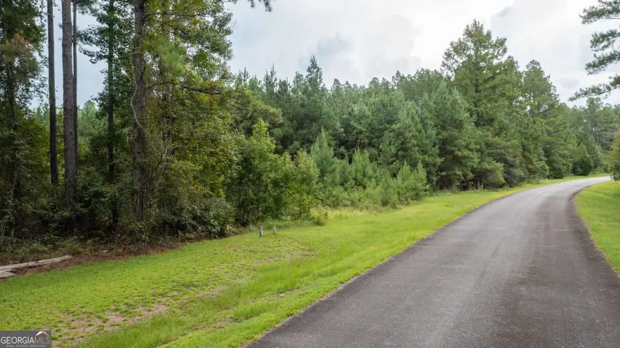 0 La Sole Lane, Waverly, GA 31565 - #3