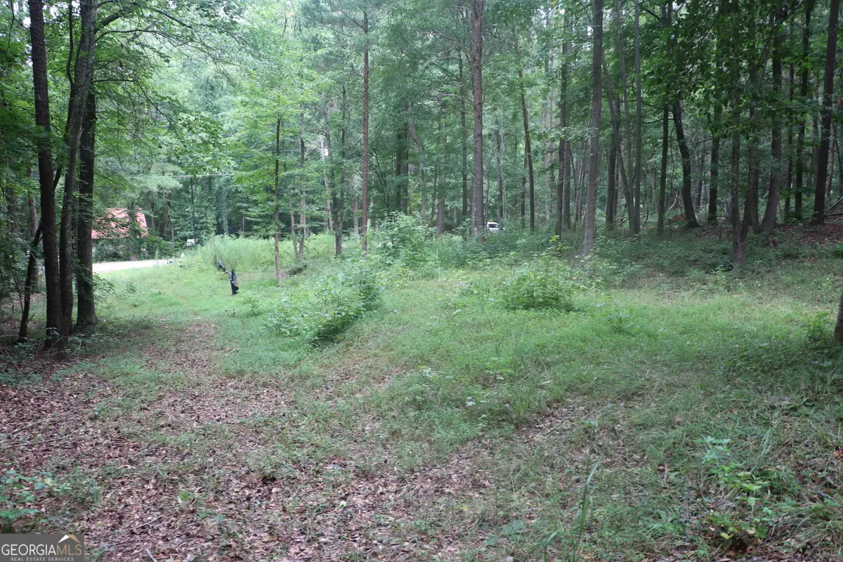 304 Mountain View Road, Lavonia, GA 30553 - #1
