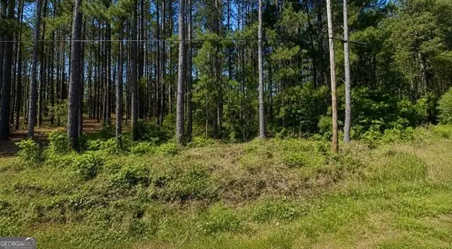 LOT 17 Honeysuckle Road, Dublin, GA 31021 - #2