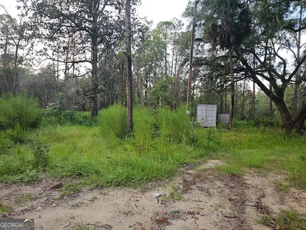 373 Carl Burney Road, Hortense, GA 31543