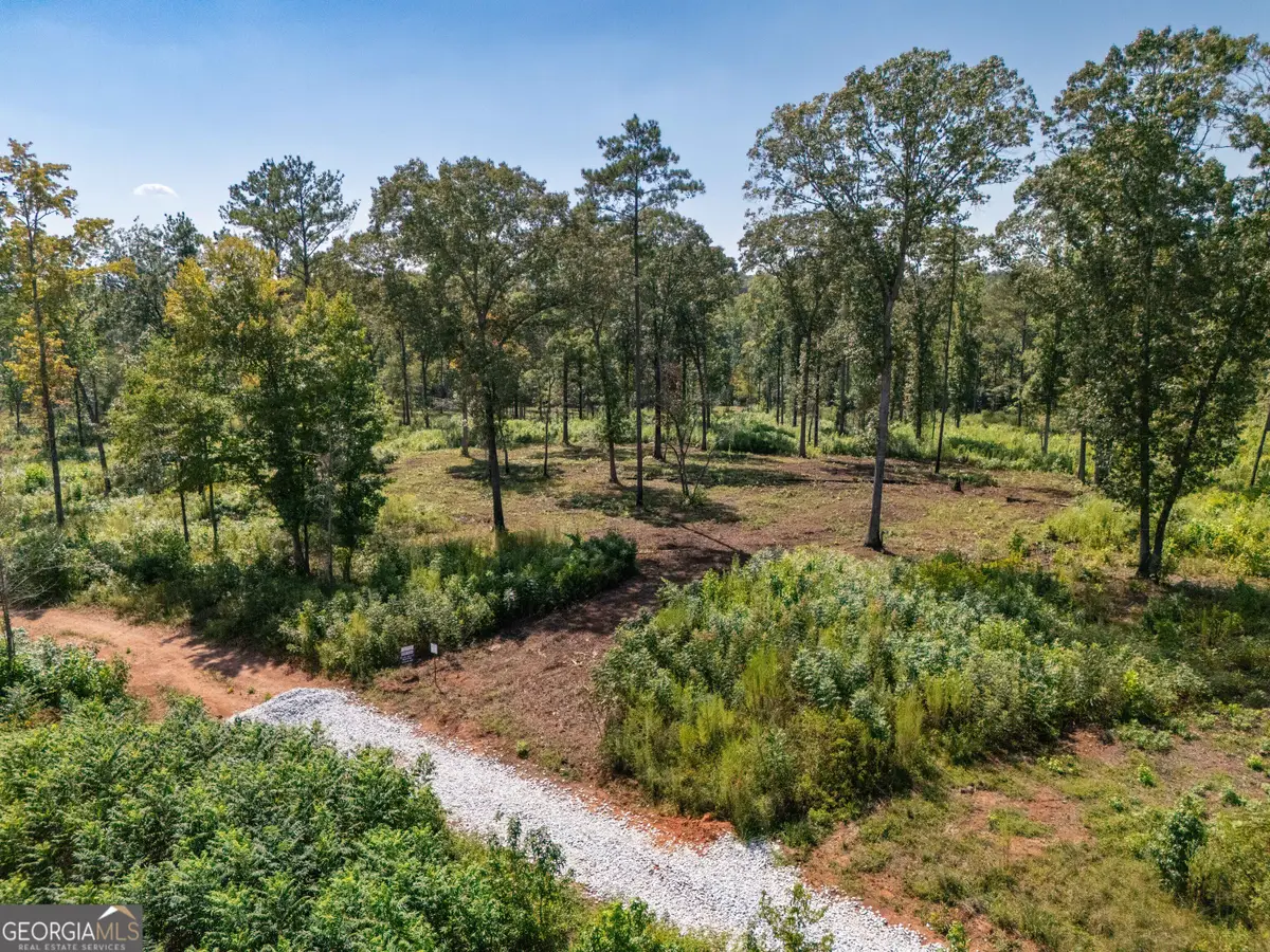 0 Hwy 100 #3 SADIE PLACE, Franklin, GA 30217 - #1