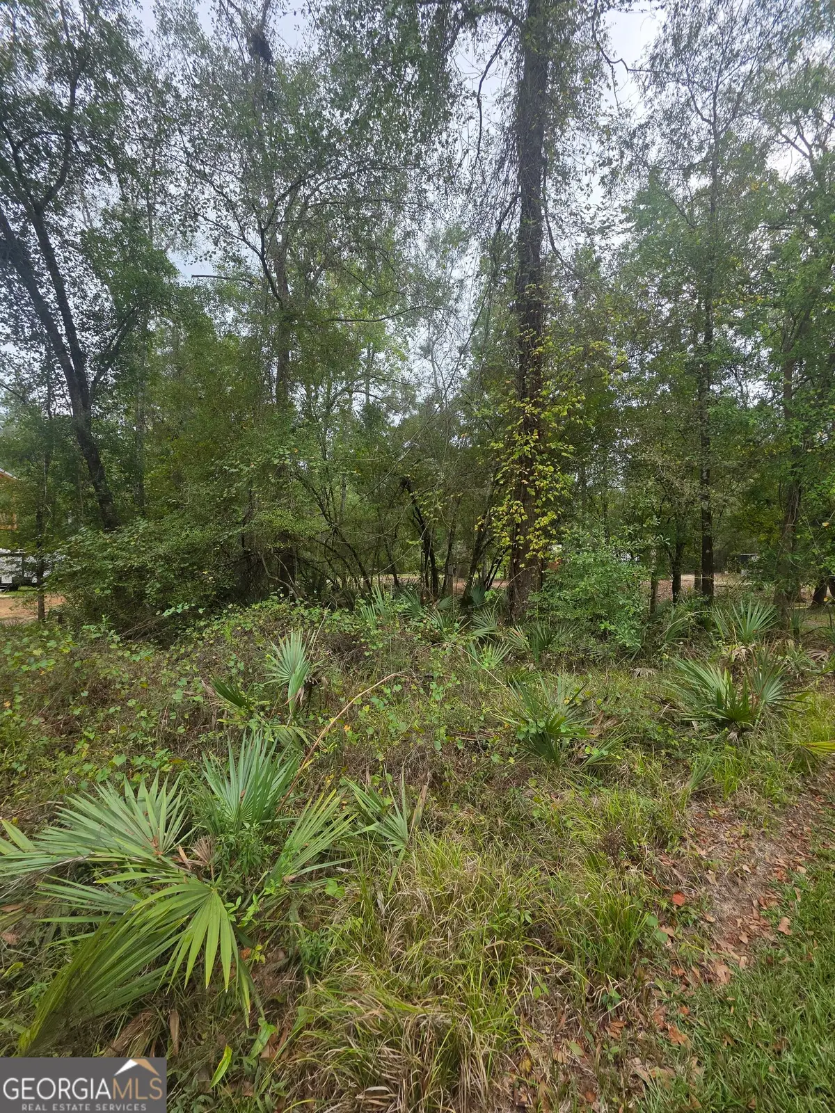 0 Morris Landing Road, Baxley, GA 31513 - #1