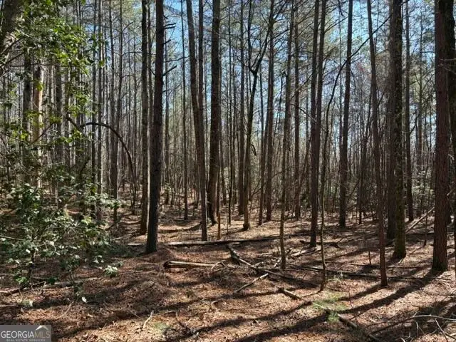 343 Hank Fry Road, Clarkesville, GA 30523 - #1