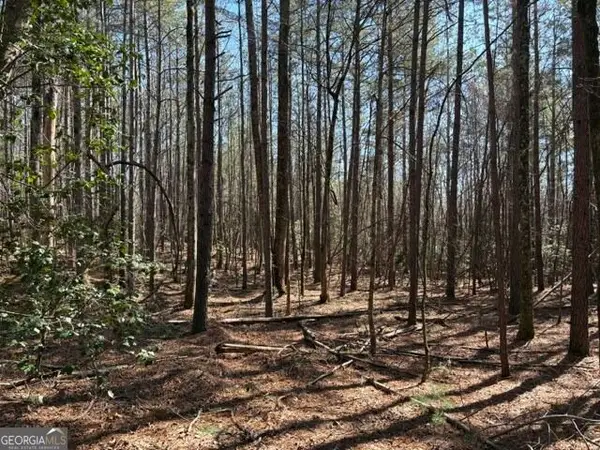 343 Hank Fry Road, Clarkesville, GA 30523