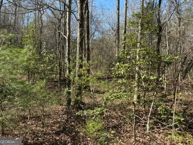 343 Hank Fry Road, Clarkesville, GA 30523 - #3