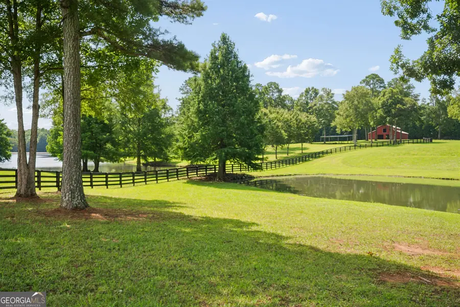 195 Green Meadow Lane, Fayetteville, GA 30215 - #3