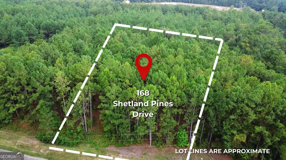 168 Shetland Pines Drive, Macon, GA 31216 - #1