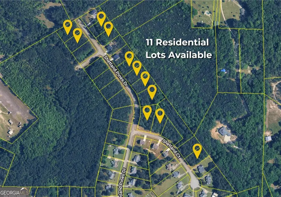168 Shetland Pines Drive, Macon, GA 31216 - #3