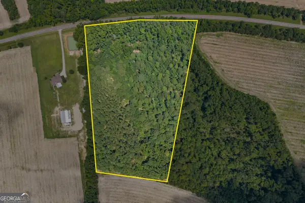 17384 Old River Road, Garfield, GA 30425