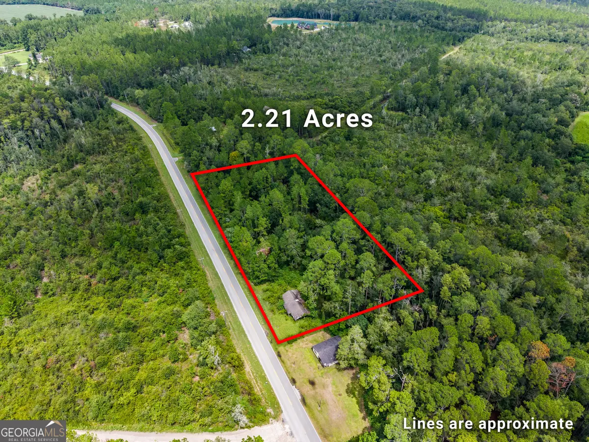 4531 S Manor Millwood Rd., Manor, GA 31550 - #1