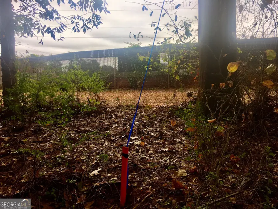 0 Hwy 17 Alt, Toccoa, GA 30577 - #2
