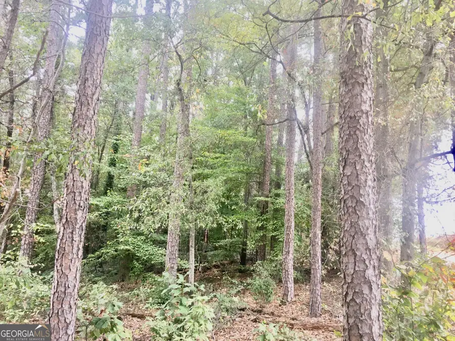 0 Hwy 17 Alt, Toccoa, GA 30577 - #3