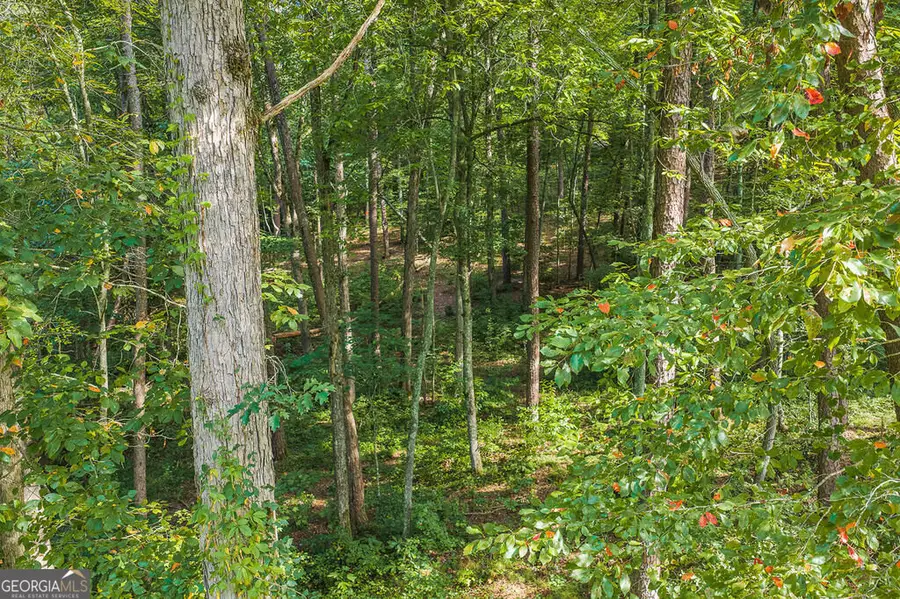 186 Pinnacle Drive, Ellijay, GA 30540 - #2