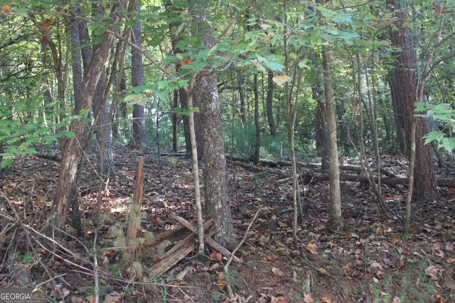LOT 546 Satsuma North Court, Ellijay, GA 30540 - #2