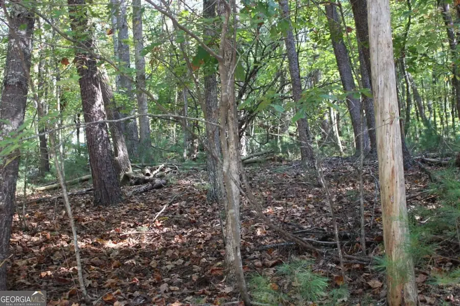 LOT 546 Satsuma North Court, Ellijay, GA 30540 - #3